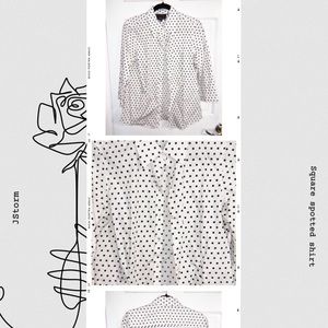 FOXCROFT wrinkle free square spotted blouse